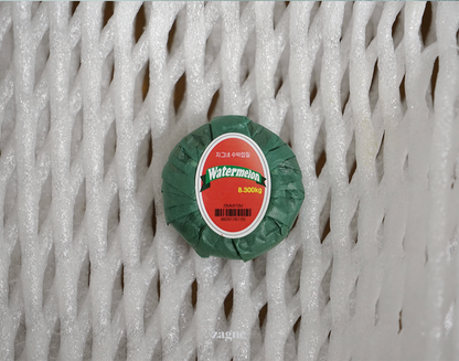 Zagne Korea Washi Tape - Watermelon Peel