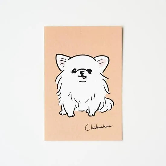 Seiko Sensei - Postcard - White Chihuahua