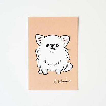 Seiko Sensei - Postcard - White Chihuahua