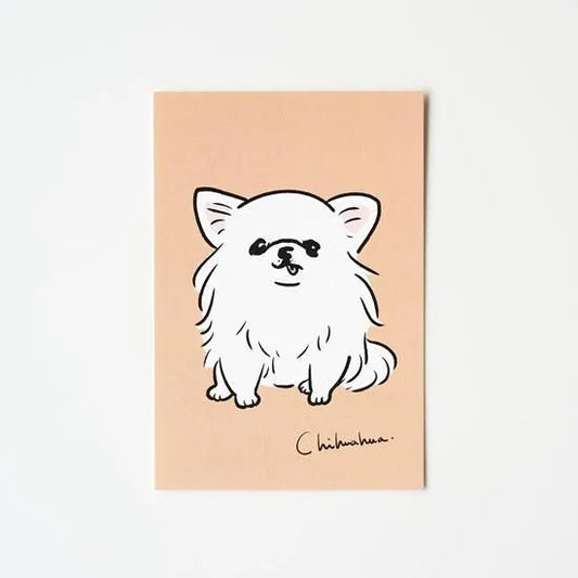Seiko Sensei - Postcard - White Chihuahua